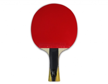 Купить Теннисная ракетка Gambler max speed carbon volt M в Пыталове 